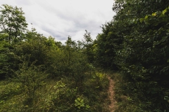 La sutie du bon sentier