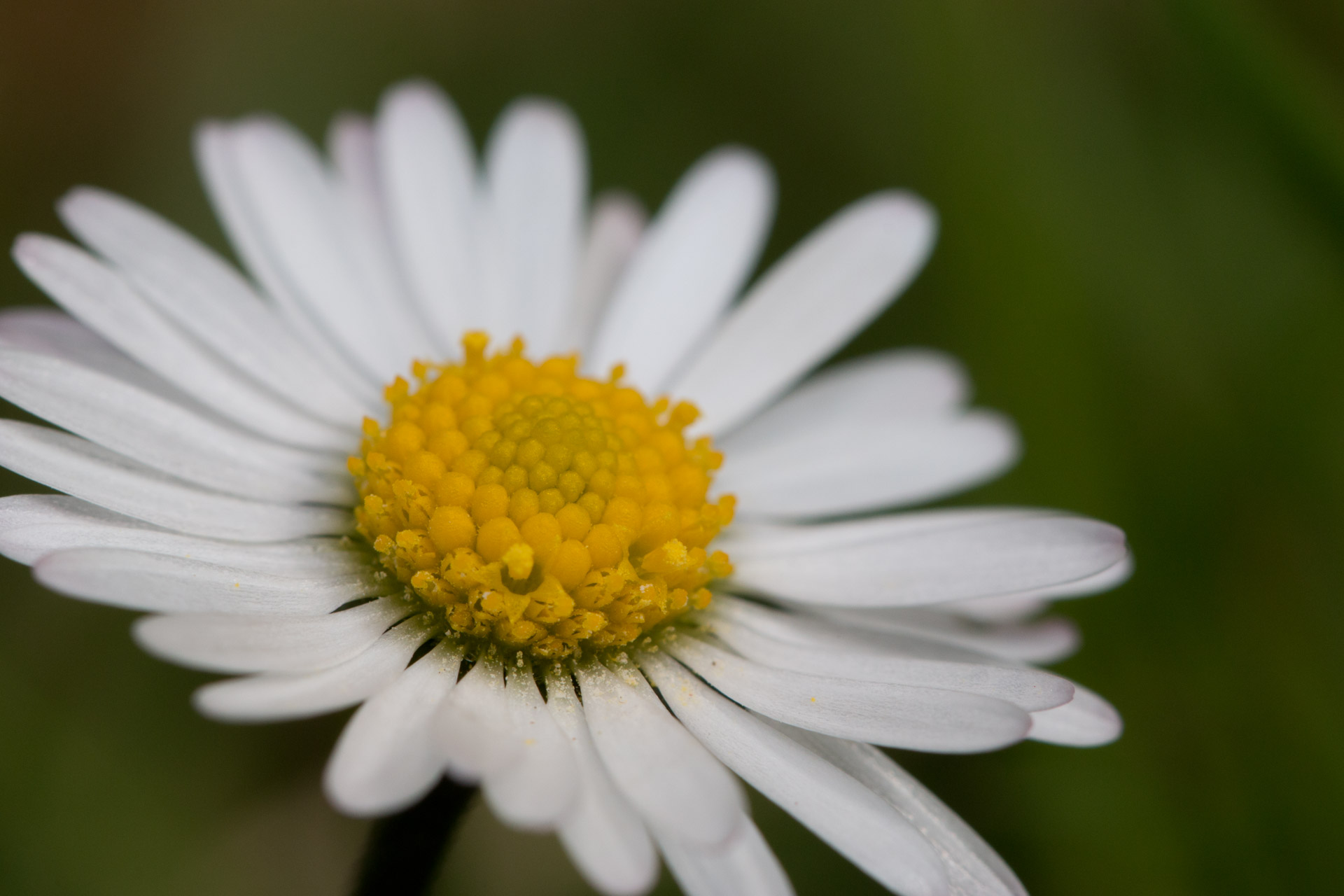 lightroom-2010