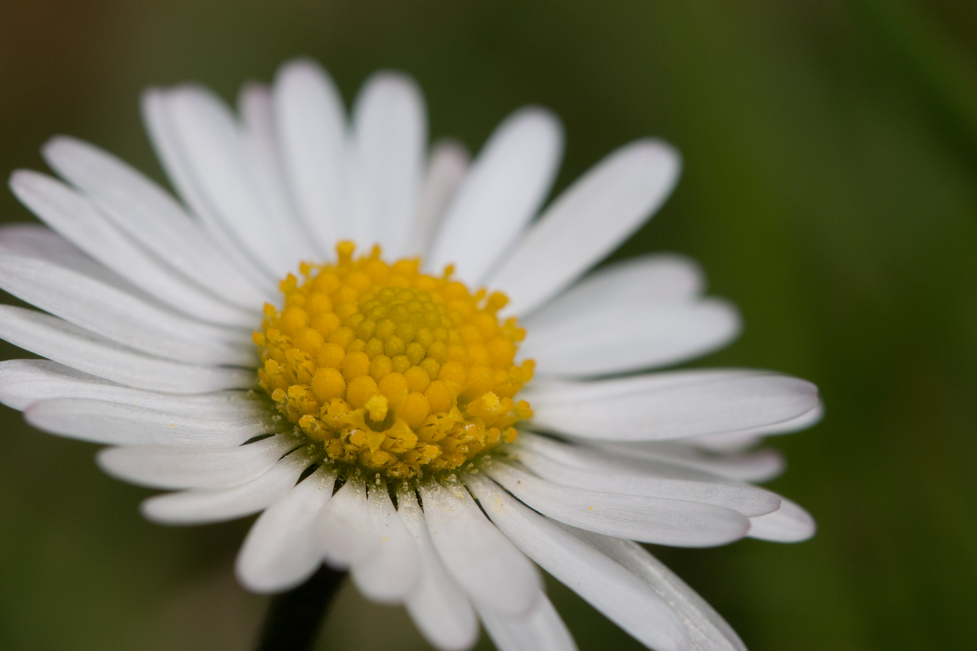 lightroom-2012