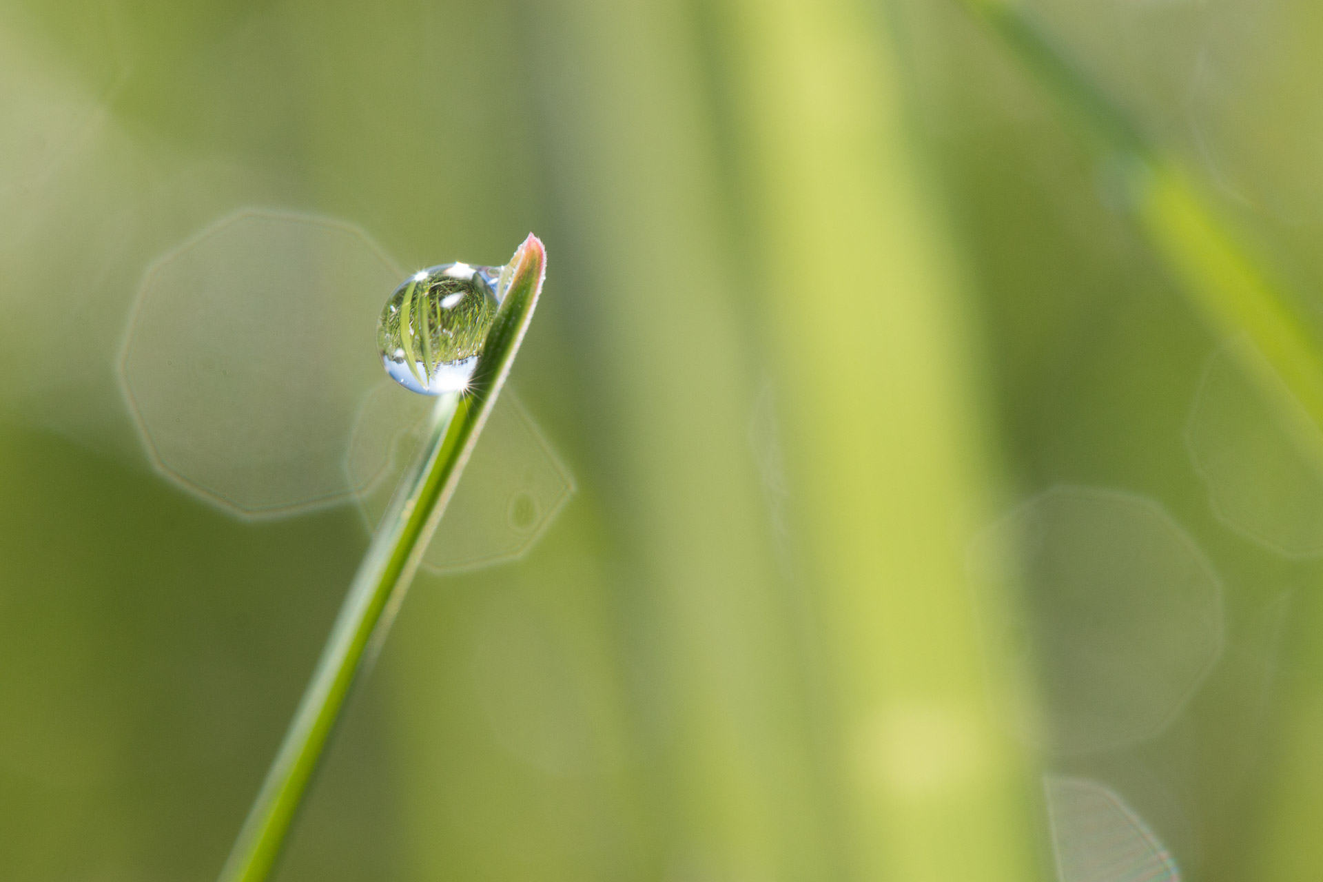 100mm | 1/400ème | F7.1 | ISO 400