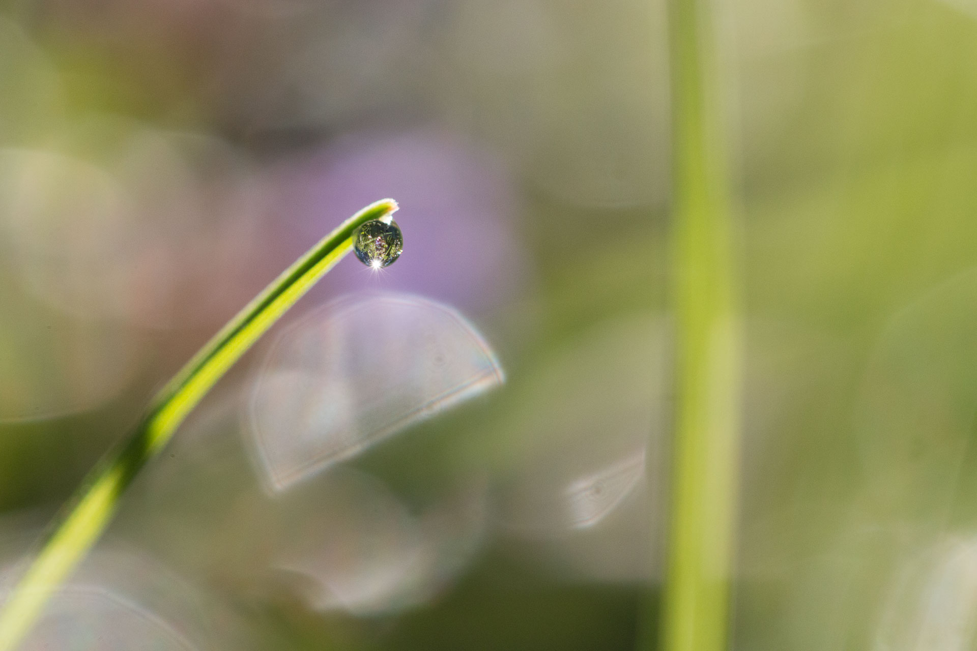 100mm | 1/800ème | F5 | ISO 1000