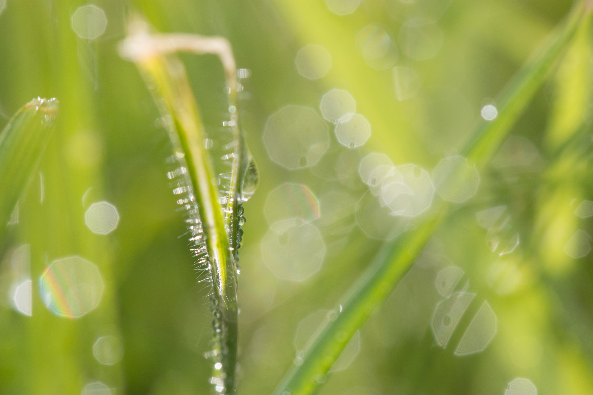 100mm | 1/400ème | F7.1 | ISO 400