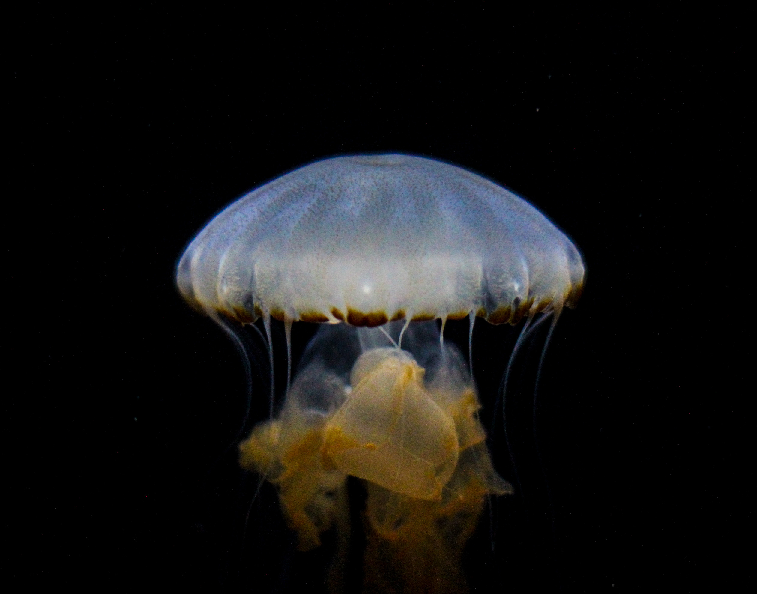 IMG_9791