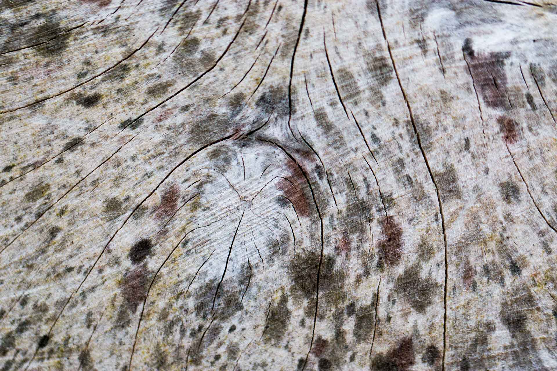macro-5