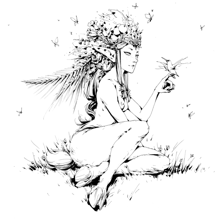 nymph