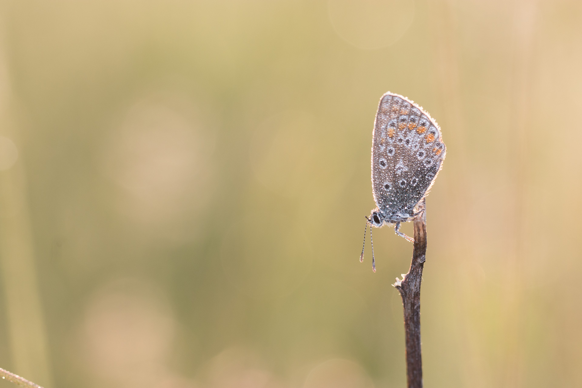macro vacances