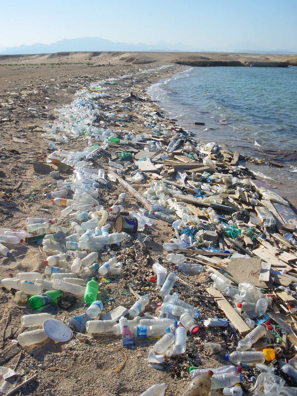 Pollution des plages par le plastique...