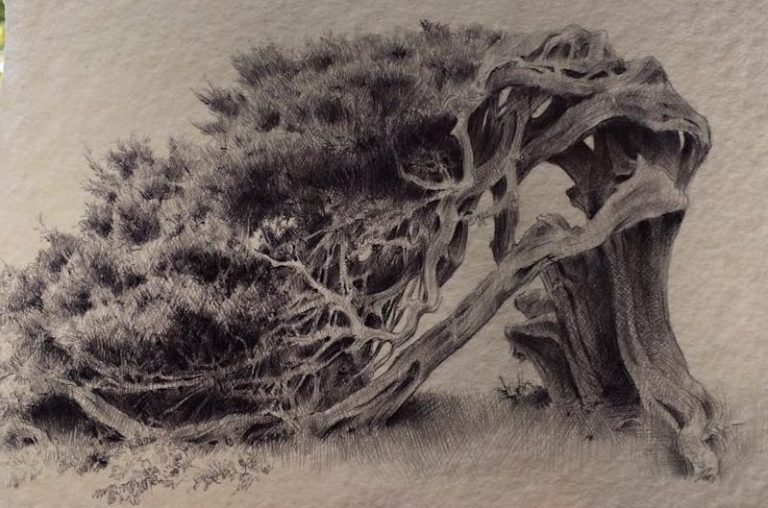 Dina Brodsky : Bic et branches