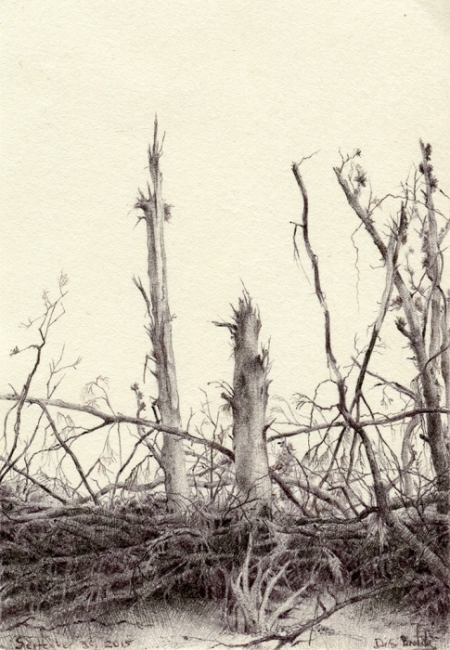 tree21_72dpi-e1472050783356